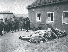 Holocaust.jpg
