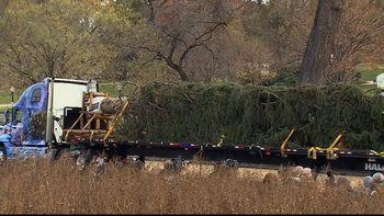 U.S. Capitol Christmas Tree arrives at the West Front