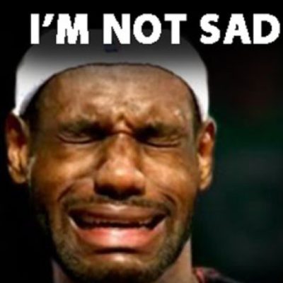 LeBron James Blasted With Hilarious Memes for Losing NBA Title — Again ...