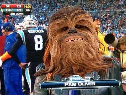 pam-oliver-chewy