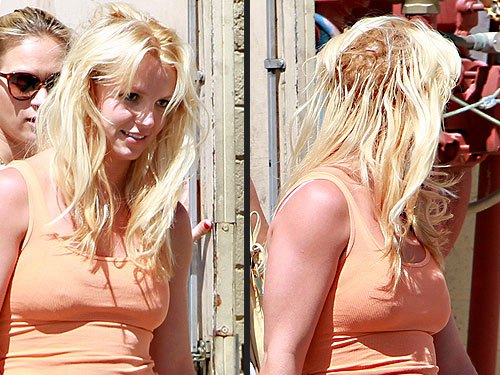 britneyspearsstruggleweave