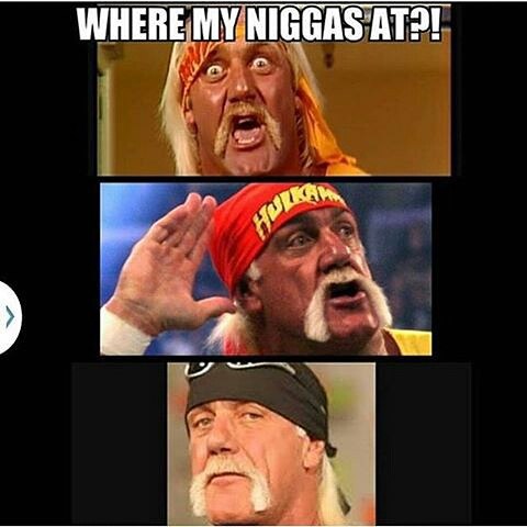 Funniest Hulk Hogan memes after firing from WWE for racist rant | Page ...