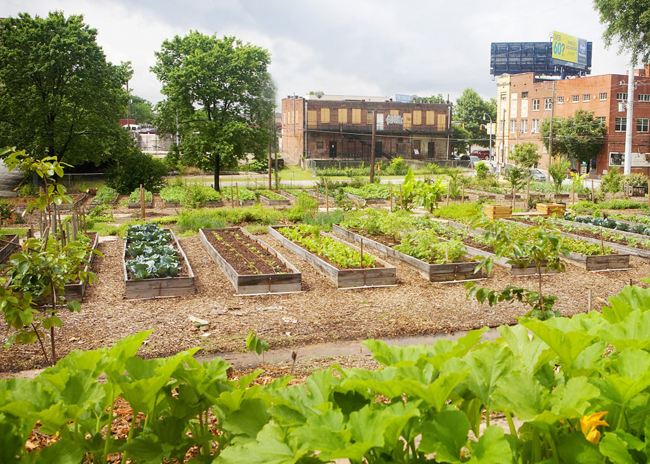 urban agriculture
