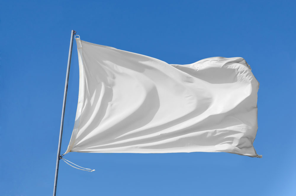 10,000 white flags in Atlanta's Piedmont Park to honor COVID victims ...