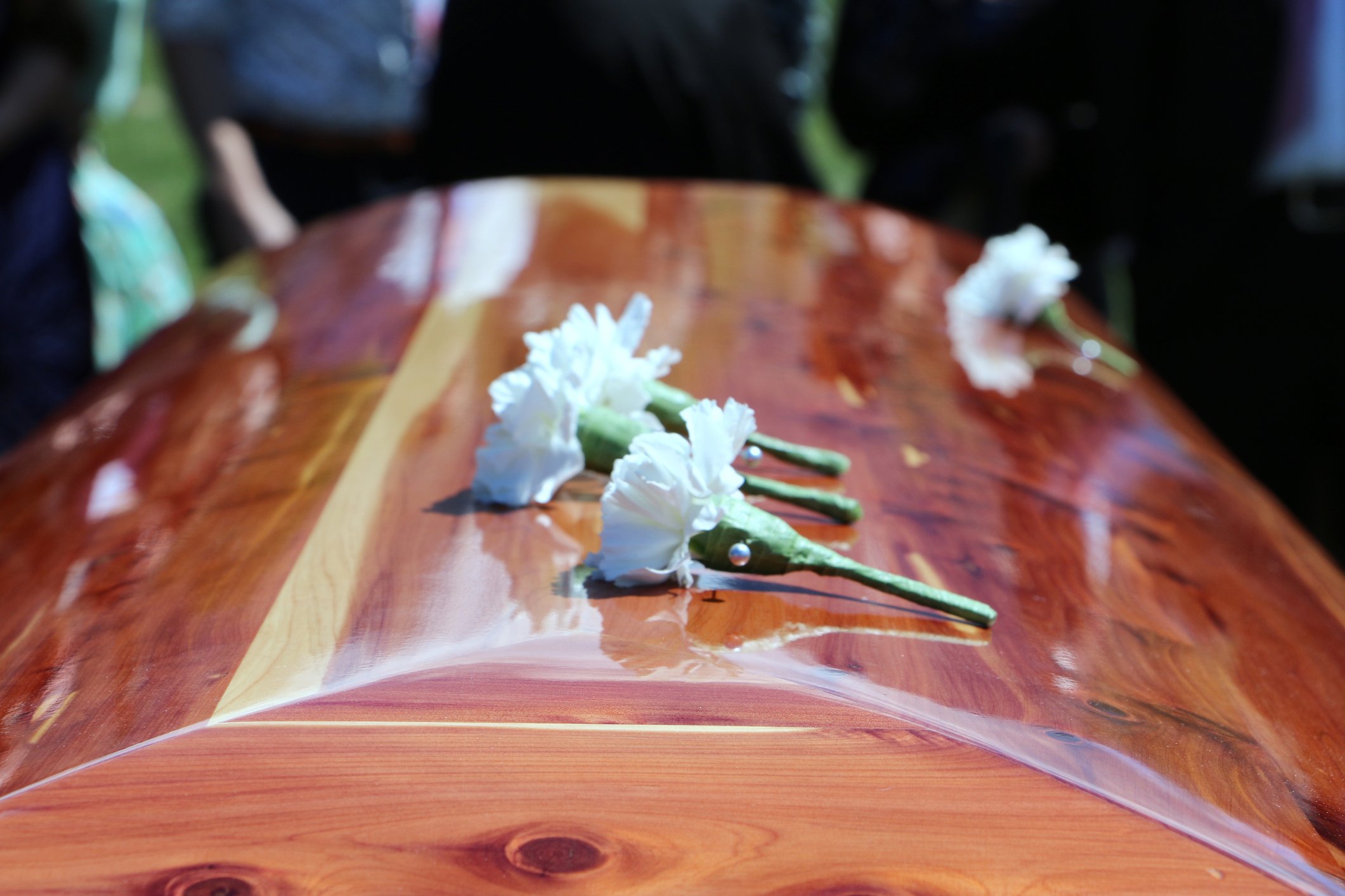 Pallbearers White Carnation Boutonnières Laid Atop Cedar Casket - Stock Image
