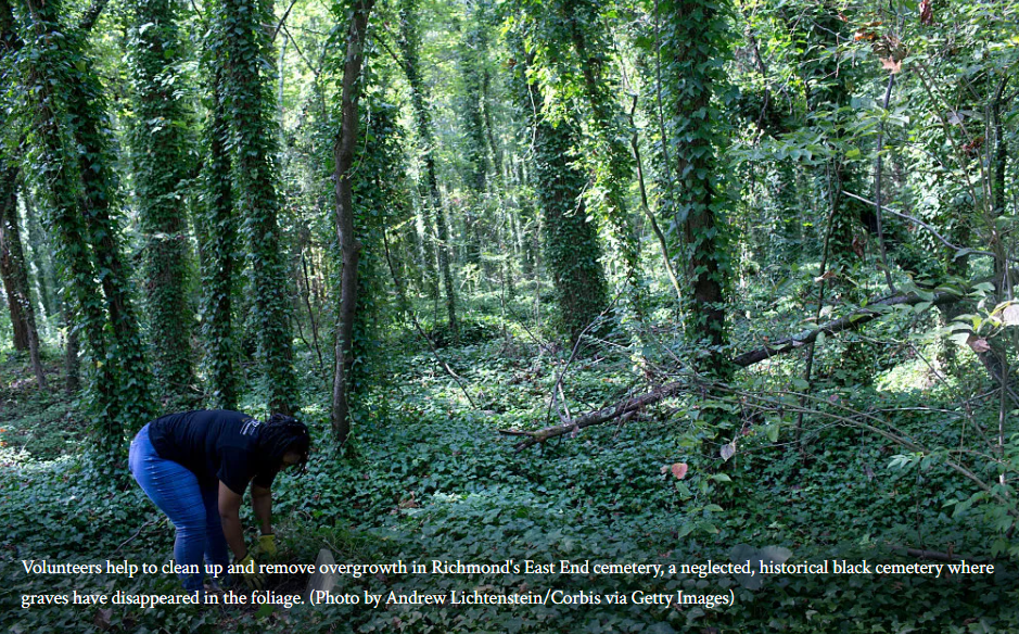 Screenshot-2025-06-22-082209