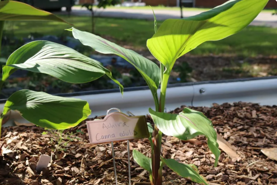 Screenshot-2025-07-15-150737